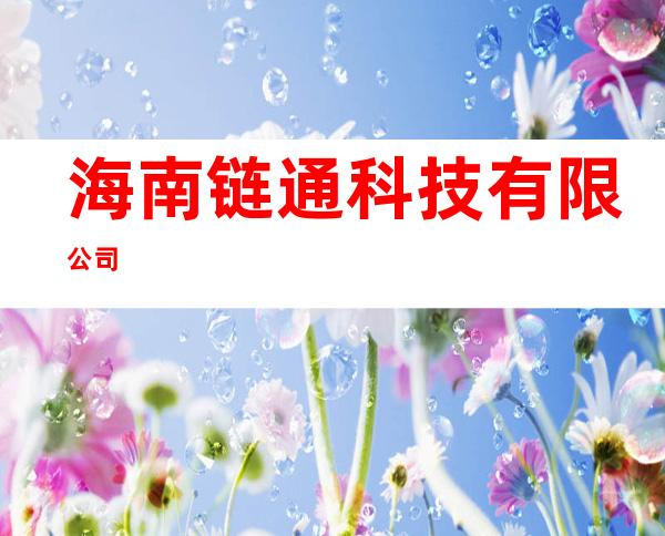 海南链通科技有限公司